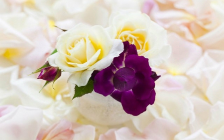 Elegant Flowers - flowers, roses, petals, bloom