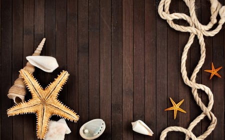 Happy Summer! - scici, rope, vara, scoici, summer, wood, starfish, brown, sea de mare, stea de mare, mro, maro, lemn, shell