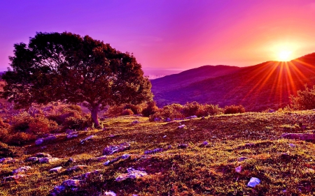 SUMMER EVENING - rays, mountains, tree, sunset