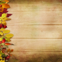 Autumn Vintage Background