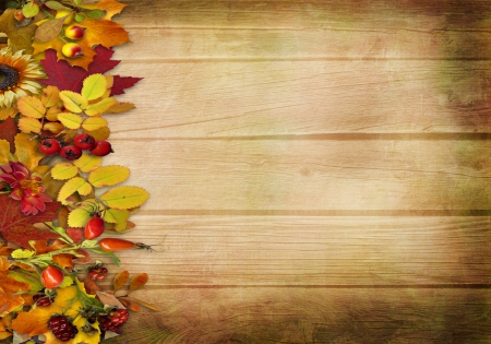 Autumn Vintage Background - leaves, autumn, berries, vintage