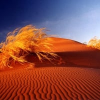 Sand Dunes of South Africa