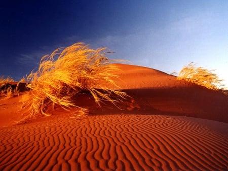 Sand Dunes of South Africa - sand dunes, south africa, sand, nature