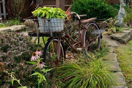 Schwinn Gardens - Schwinn Gardens, old schwinn, garden, garden decor, bicycle, cycling