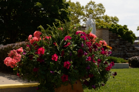 Saint Peter - saint, church, roses, saint peter, red roses