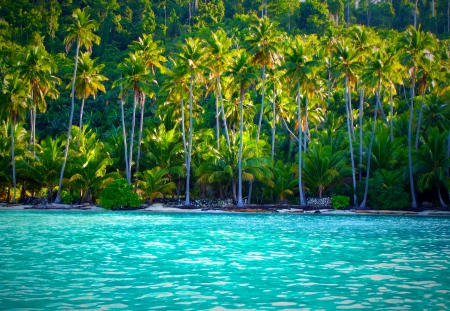 Togian Islands By Morning - morning view, palms, summer, beach, beautiful, sea, island, forest, Indonesia, tropical, paradise