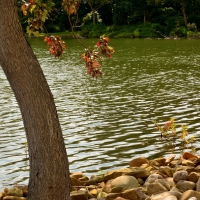 Scenic Meyers Lake