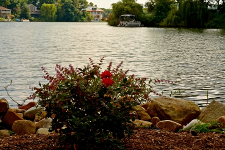 Relaxing On The Lake - peaceful lake, relaxing on the lake, meyers lake, scenic lake, relaxing lake