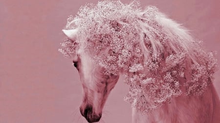 Celebration - celebration, flowers, horse, beautiful