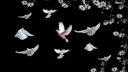 Peace - beauty, doves, love, peace, flowers