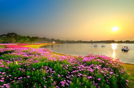 Spring Garden - trees, lagoon, beautiful, spring, Thailand, flowers, afternoon, park, meadow in blossom