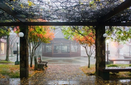 Rainy Autumn - autumn, rain, autumn leaves, nature, fall, benches, splendor, leaves, rainy, drops