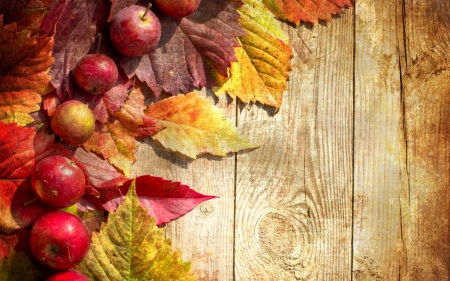 Happy Autumn! - wood, autumn, yellow, red, toamna, leaf, apple, fruit