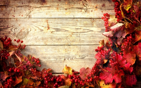 Happy Autumn! - yellow, wood, berry, toamna, autumn, red, fruit, leaf, texture