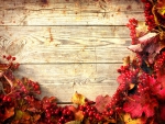 Happy Autumn!