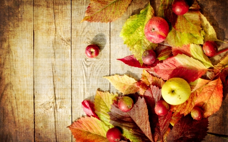 Happy Autumn! - yellow, wood, toamna, autumn, red, green, fruit, leaf, apple