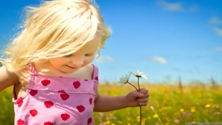 Little Girl in Meadow - fields, nature, meadows, flowers, child, little girl