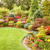 Pretty Summer Garden