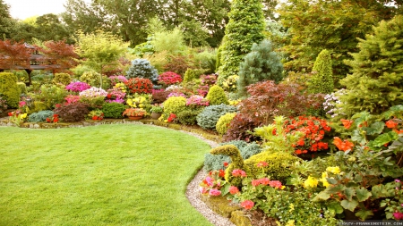 Pretty Summer Garden - flowers, bushes, trees, gardens