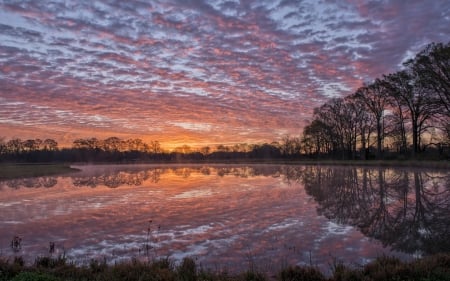 Sunset - sunset, trees, clouds, river