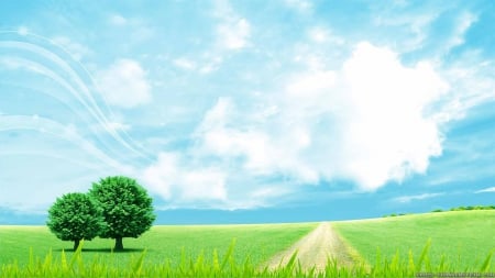 Wonderful Summer Landscape - fields, sky, trees, clouds