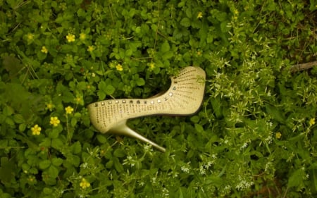 Girl Shoe - style, stilettos, shoe, grass