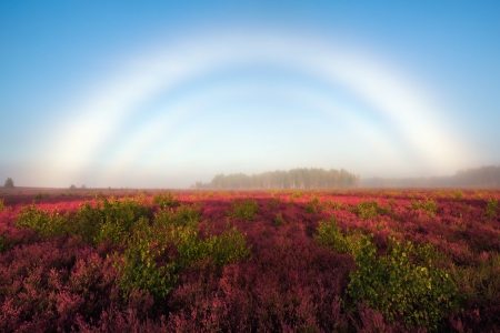 White Rainbow - field, sky, rainbow, nature