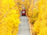 Red Truck in Autumn