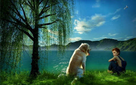 Best Friend - sky, lake, animals, tree, boy, dog