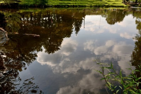 Serene Reflections - pond, lagoon, summertime, serene reflections, reflections, creek, scenic reflections