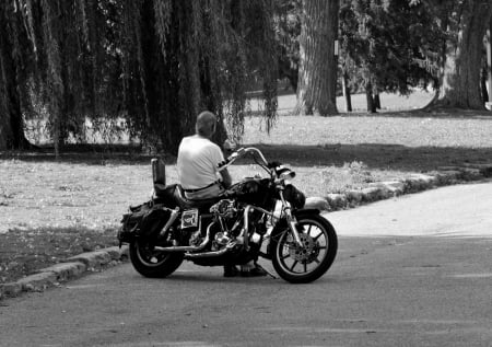 Lonely Ole Biker - lonely, Lonely Ole Biker, biker, harley davidson, lonely biker