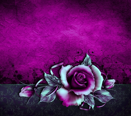 flowers - rose, white, purple, 1