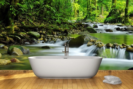 Mountain stream in a forest - stream, nature, wall mural, moubtains