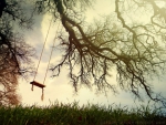 Swing on the Tree