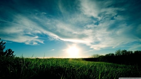 Sunny day - sky, sunshine, sun, sunset, field, meadow, shine, clouds, dusk, grass, scene, landscape, sunlight, light, wallpaper, summer, hd, nature, dawn, sunrise