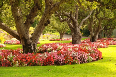 Lovely park - pretty, trees, summer, beautiful, grass, lovely, freshness, walk, alleys, flowers, nature, garden, park