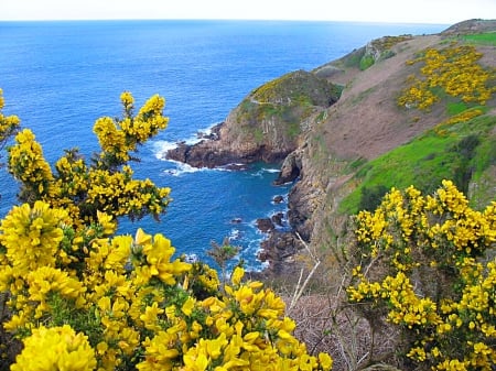 Coastal view - summer, coast, beautiful, sea, ocean, lovely, flowers, nature, view, rocks, bay