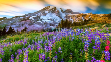 Mountain paradise - clouds, beautiful, landscape, slope, lovely, freshness, mountain, flowers, colorful, nature, peak, paradise, sky, rocks