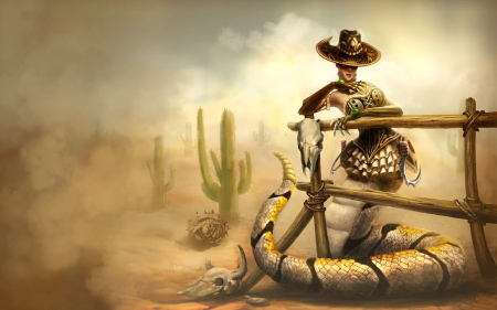 Desperada Cass - fun, westerns, female, cowgirls, hats, fences, fantasy, catcus, anime