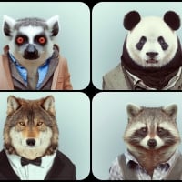 WELL DRESSED ANIMALS