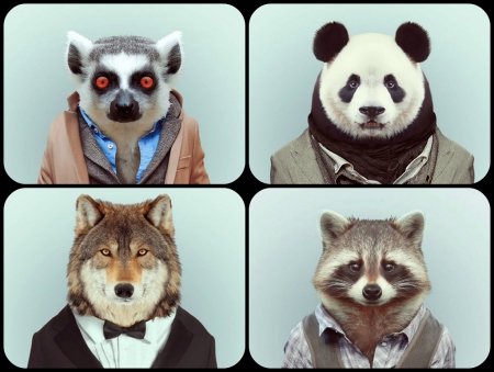 WELL DRESSED ANIMALS - dressed, collage, well, animals