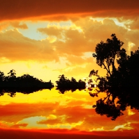 Orange Sundown Reflection