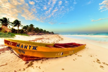 Mary IV - tropical, landscape, boat, beach, palms, sea