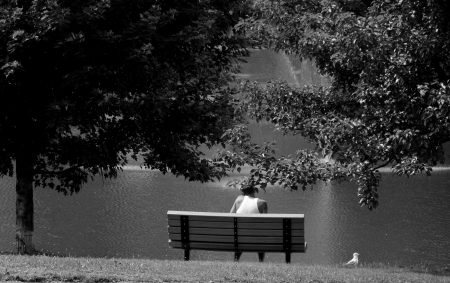 Lonely by The Pond - loneliness, lonely man, lonely by the pond, pond, depression