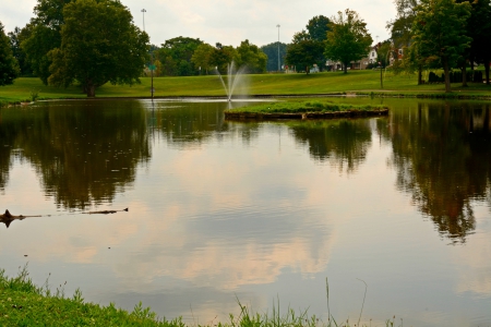 Reflections Pond - reflections, lake, serene, reflections pond, summer pond, scenic pond, pond