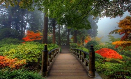 Path of Beauty - pathway, nature, abstract, forest, flowers