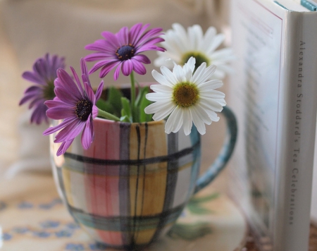 Still life - flowers, daisies, cup, soft