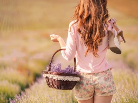 Woman in lavender field - woman, field, flowers, lavender