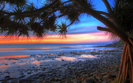 Beach Sunset - ocean, beach, sky, water, shore, sunset, coast, rocks, evening, clouds, tree, stones, sand