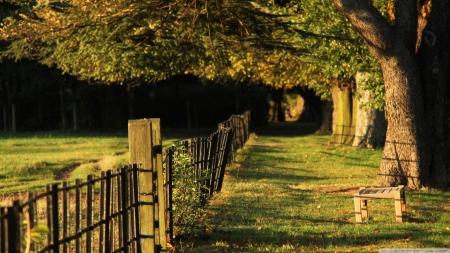 Fence in summer - fence, landscape, summer, wallpaper, path, road, nature, hd, forest, tree, scene